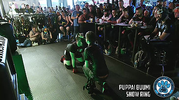 IPTC 2023 - Show Ring - 04 - Puppai Buumi